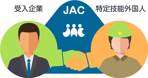 JACは受入企業と特定技能外国人の橋渡し役を担います。